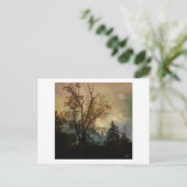 Carte Postale Arbre vieilli (Debout devant)