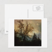 Carte Postale Arbre vieilli (Devant / Derrière)