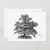 Carte Postale Arbre vintage Ephémère Découpage Art (Devant / Derrière)