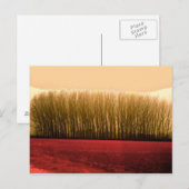 Carte Postale arbres (Devant / Derrière)