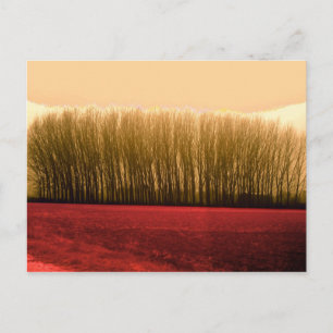 Carte Postale arbres