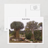 Carte Postale Arbres (Devant / Derrière)