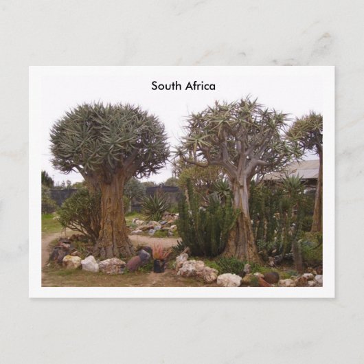 Carte Postale Arbres (Devant)