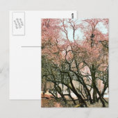 CARTE POSTALE ARBRES (Devant / Derrière)