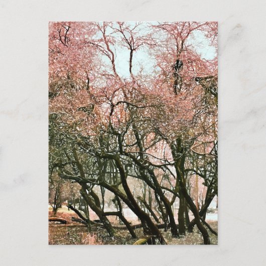 CARTE POSTALE ARBRES (Devant)