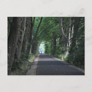 Carte Postale Arbres