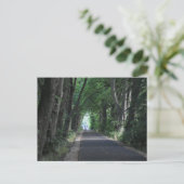 Carte Postale Arbres (Debout devant)