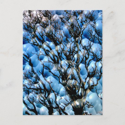 CARTE POSTALE ARBRES (Devant)