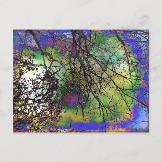 Carte Postale Arbres (Devant)