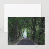Carte Postale Arbres (Devant / Derrière)