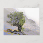 CARTE POSTALE ARBRES (Devant)