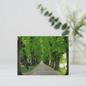 Carte Postale Arbres (Debout devant)