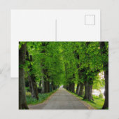 Carte Postale Arbres (Devant / Derrière)