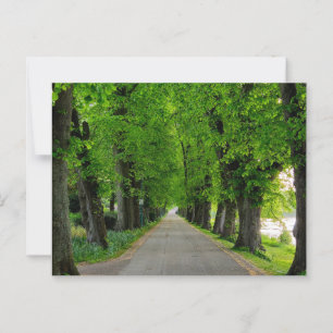 Carte Postale Arbres
