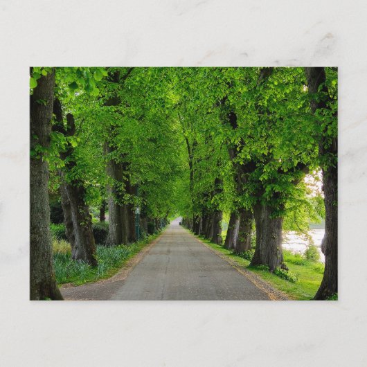 Carte Postale Arbres (Devant)