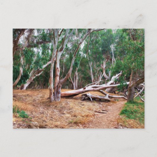 Carte Postale Arbres (Devant)