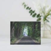 Carte Postale Arbres (Debout devant)