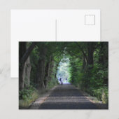 Carte Postale Arbres (Devant / Derrière)