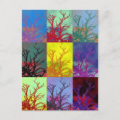 CARTE POSTALE ARBRES (Devant)