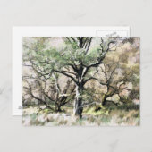 CARTE POSTALE ARBRES (Devant / Derrière)