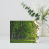 Carte Postale Arbres (Debout devant)