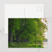 Carte Postale Arbres (Devant / Derrière)
