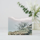 CARTE POSTALE ARBRES (Debout devant)