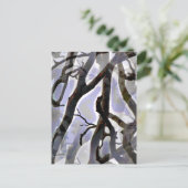 CARTE POSTALE ARBRES (Debout devant)