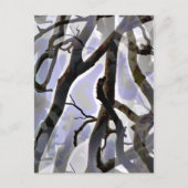 CARTE POSTALE ARBRES (Devant)