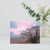 CARTE POSTALE ARBRES (Debout devant)