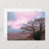 CARTE POSTALE ARBRES (Devant / Derrière)