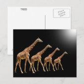 CARTE POSTALE ARBRES (Devant / Derrière)