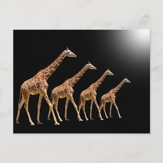 CARTE POSTALE ARBRES (Devant)