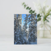 Carte Postale Arbres (Debout devant)