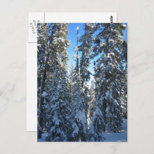 Carte Postale Arbres (Devant / Derrière)