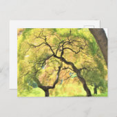 Carte Postale arbres (Devant / Derrière)