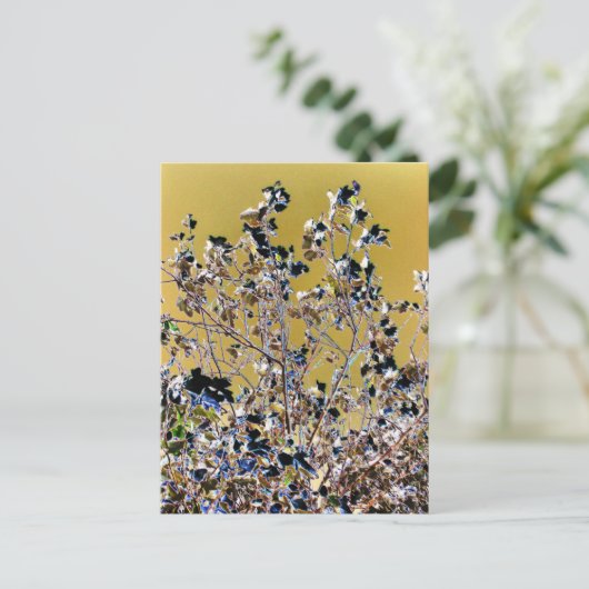 CARTE POSTALE ARBRES (Debout devant)