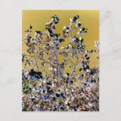 CARTE POSTALE ARBRES (Devant)