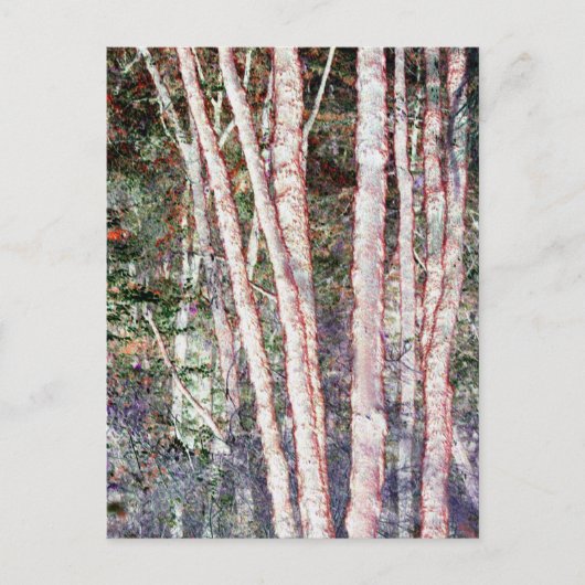 Carte Postale Arbres à bords rouges (Devant)