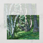 Carte Postale Arbres à flanc de colline (Devant / Derrière)