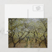 Carte Postale Arbres à fleurs (Devant / Derrière)