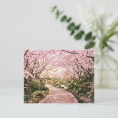 Carte Postale Arbres à fleurs de cerisier (Debout devant)