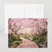 Carte Postale Arbres à fleurs de cerisier (Devant / Derrière)