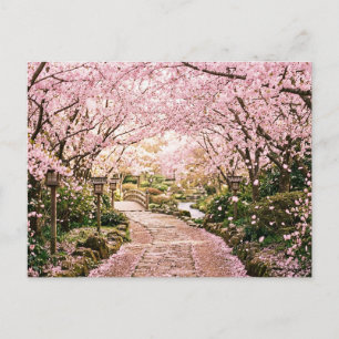 Carte Postale Arbres à fleurs de cerisier