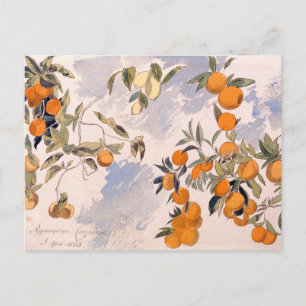 Carte Postale Arbres à fruits - Edward Lear