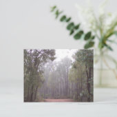 Carte Postale Arbres à gencives (Debout devant)