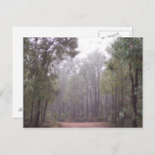 Carte Postale Arbres à gencives (Devant / Derrière)