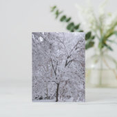 Carte Postale Arbres à neige (Debout devant)