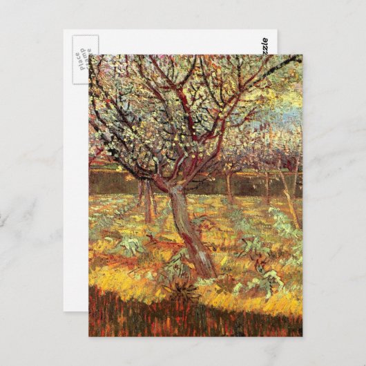 Carte Postale Arbres abricot en fleurs par Vincent van Gogh (Devant / Derrière)