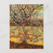 Carte Postale Arbres abricot en fleurs par Vincent van Gogh (Devant)